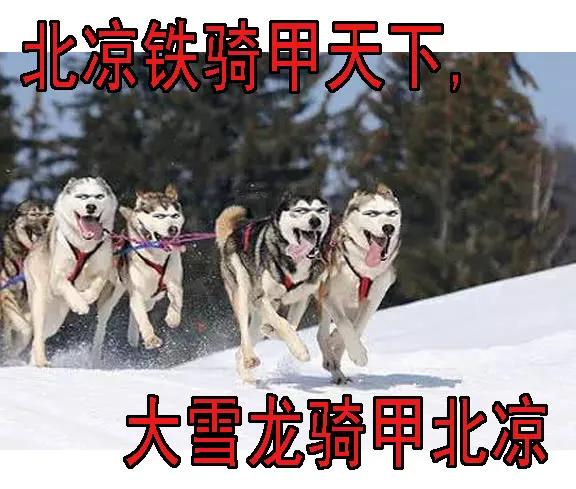 铁姬钢兵 空间真身 第14页