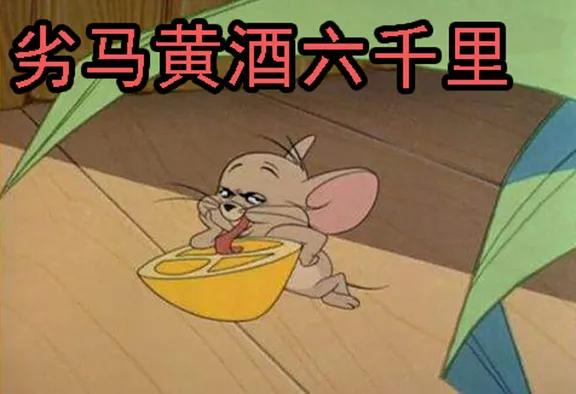 铁姬钢兵 自寻死路 第14页