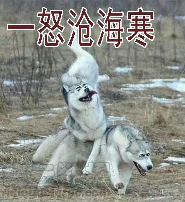 铁姬钢兵 恶龙已死，唯我最强 第16页