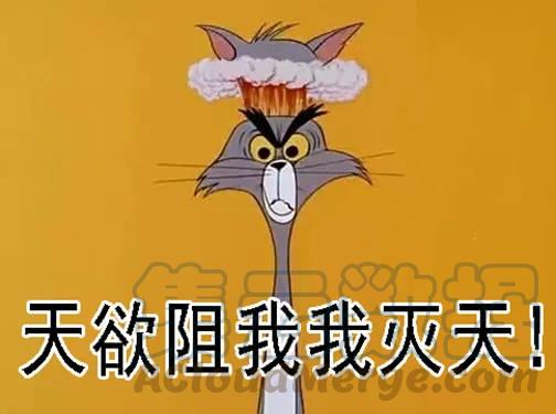 铁姬钢兵 社会神 第16页