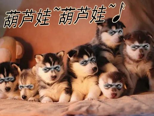 铁姬钢兵 葫芦娃也没我多 第15页