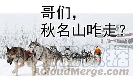 铁姬钢兵 金刚破魔 第16页