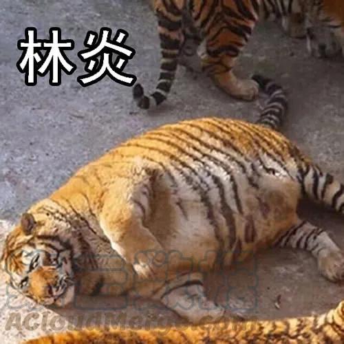 铁姬钢兵 我追你~ 第16页