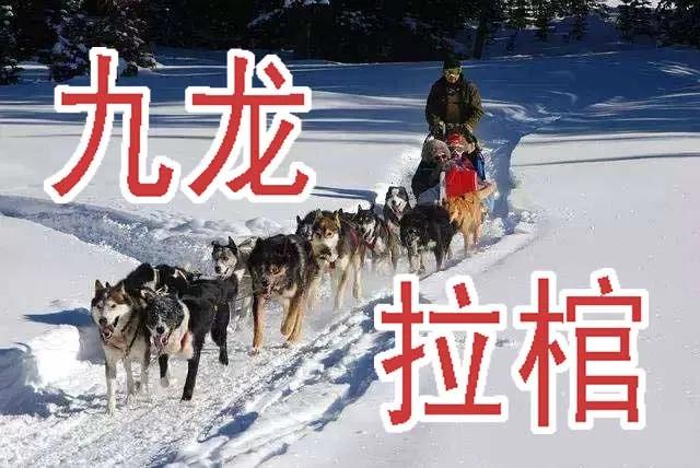 铁姬钢兵 周五六七连更 第4页