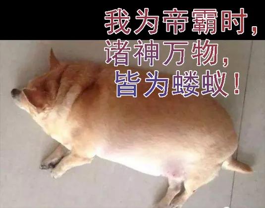 铁姬钢兵 慕干爹有良心吗？ 第15页
