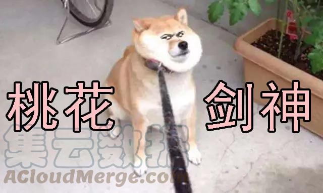 铁姬钢兵 躺着中枪 第13页