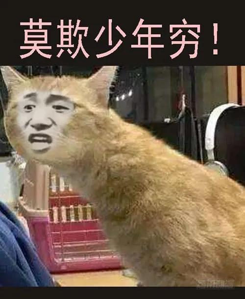 铁姬钢兵 御林军 第13页