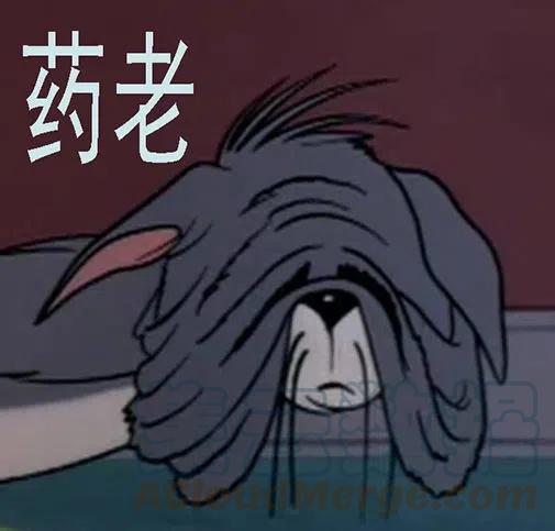 铁姬钢兵 新红鳞主炮 第16页