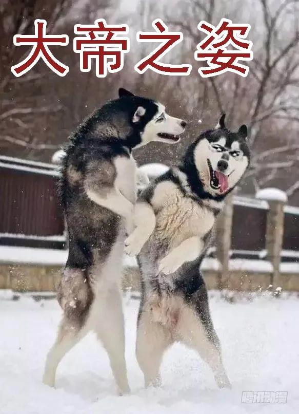 铁姬钢兵 恶龙密谋 第15页