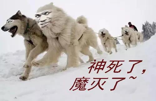 铁姬钢兵 熊姐潜力多深？ 第14页