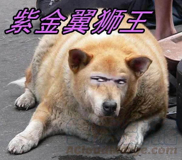 铁姬钢兵 不该出手不出手 第16页