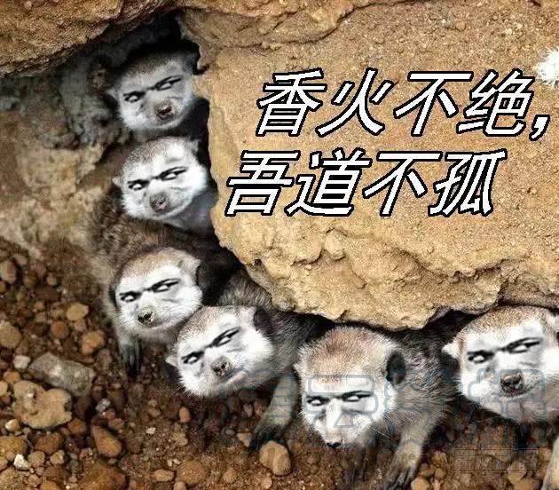 铁姬钢兵 铁水刑 第16页