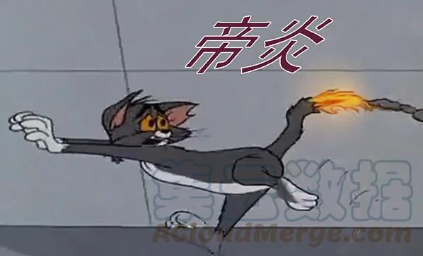 铁姬钢兵 以肉抗铁 第16页