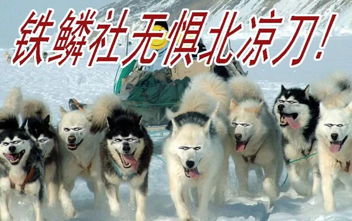 铁姬钢兵 达瓦里格勒 第18页