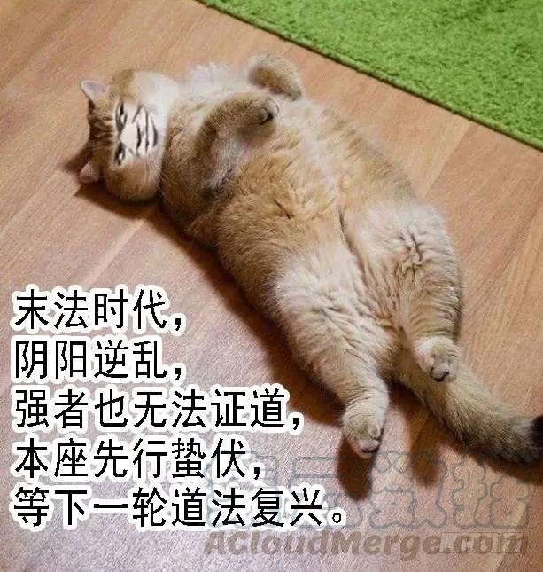 铁姬钢兵 江山依旧 第16页