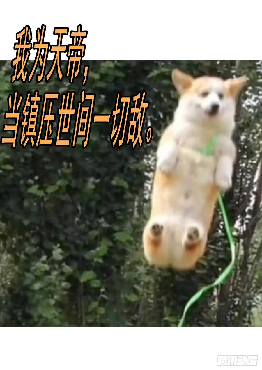 铁姬钢兵 神死了我还活着 第14页