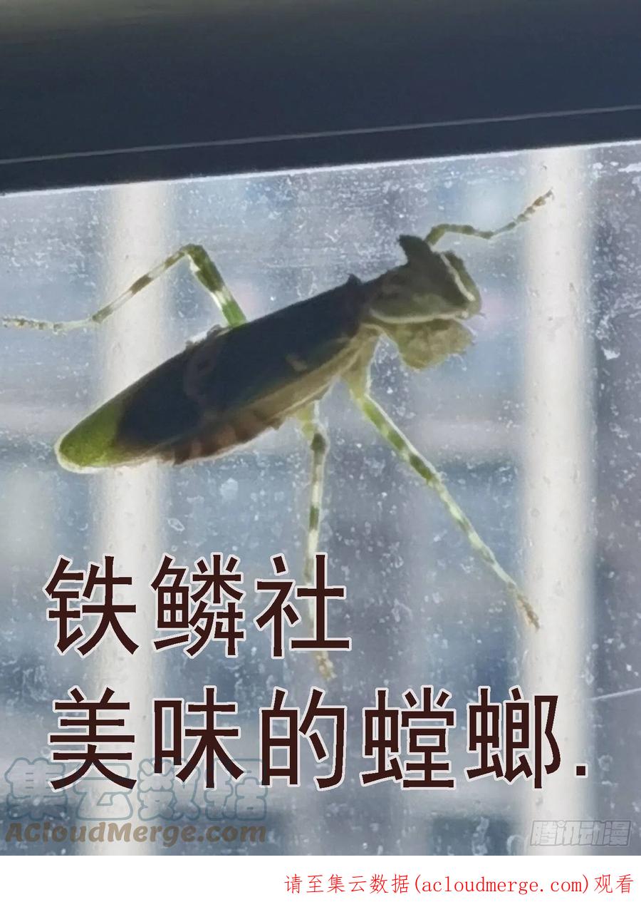 铁姬钢兵 你的灵魂 第11页