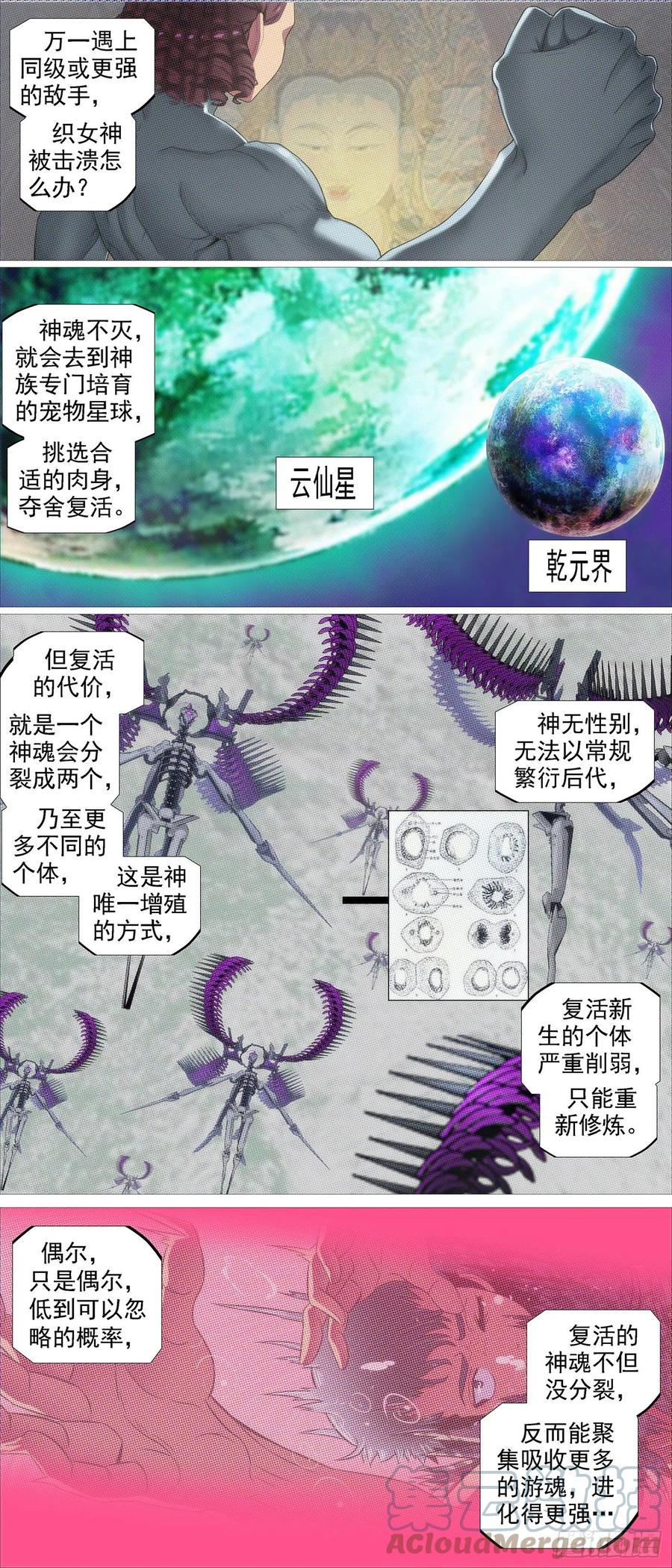 铁姬钢兵 魂级由来 第2页
