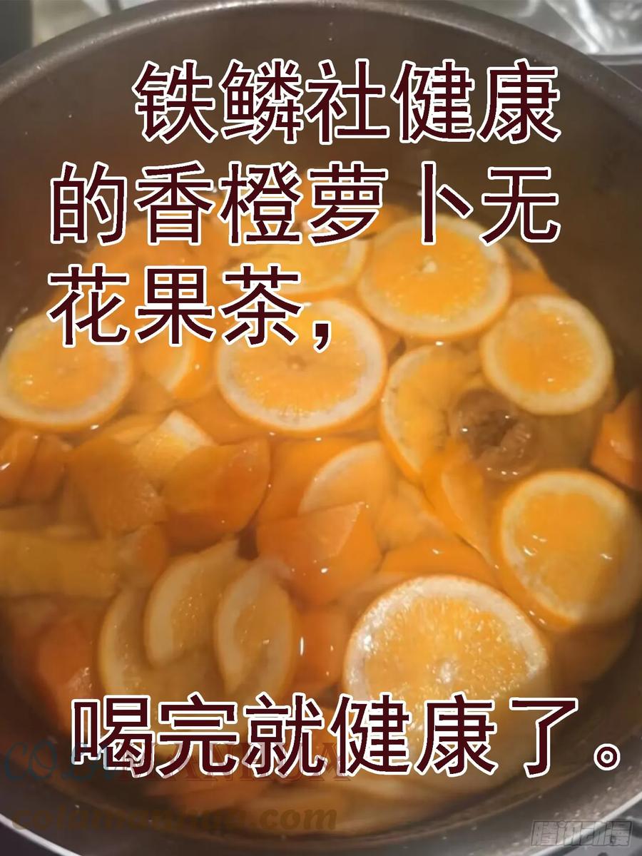 铁姬钢兵 恶龙的平衡 第13页