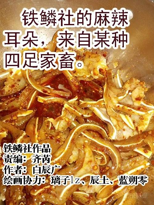 铁姬钢兵 暗金战体 第12页