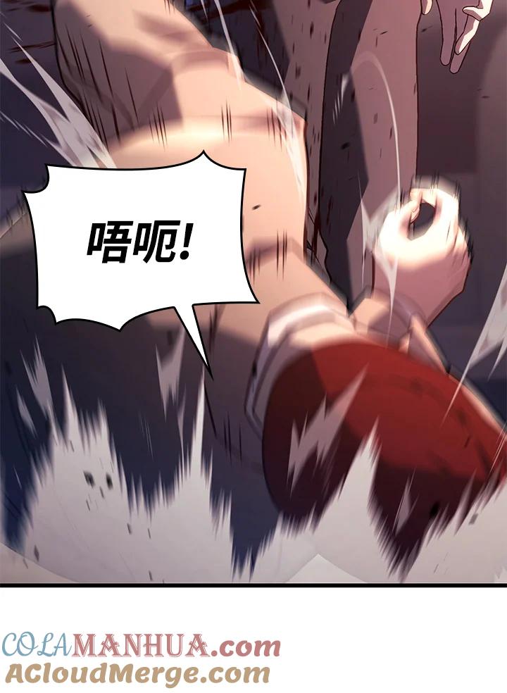 《铁血剑家猎犬的回归》第19话 第117页
