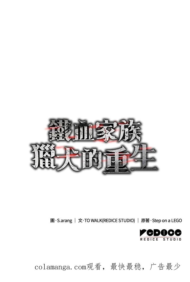 《铁血剑家猎犬的回归》第28话 第163页