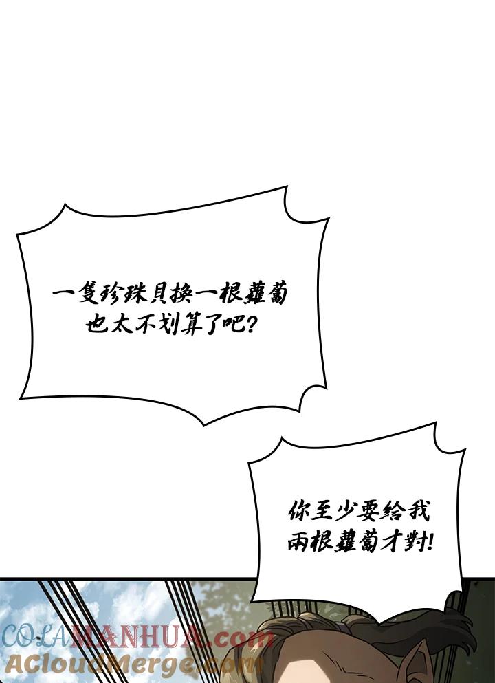 《铁血剑家猎犬的回归》第38话 第77页