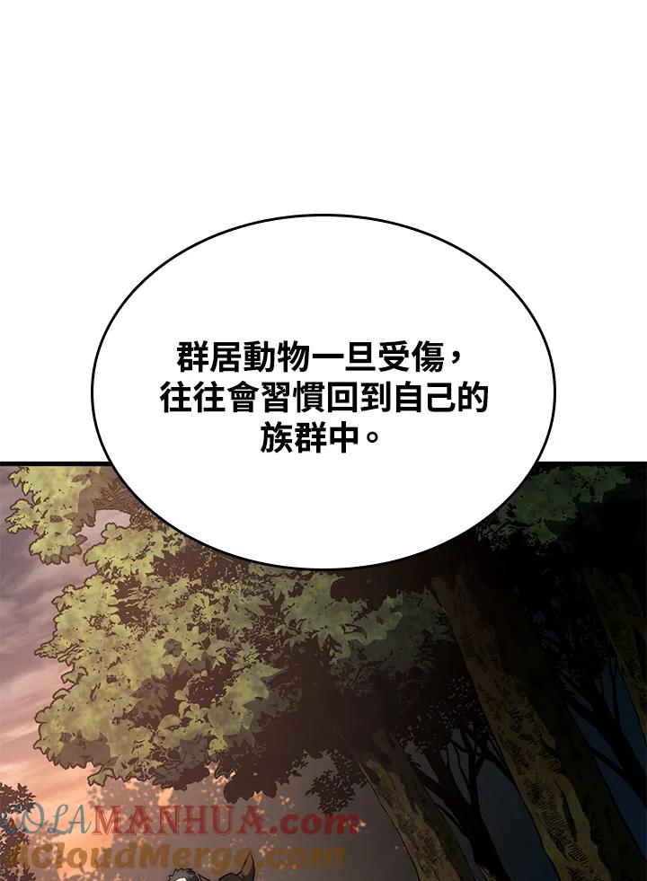 《铁血剑家猎犬的回归》第38话 第157页