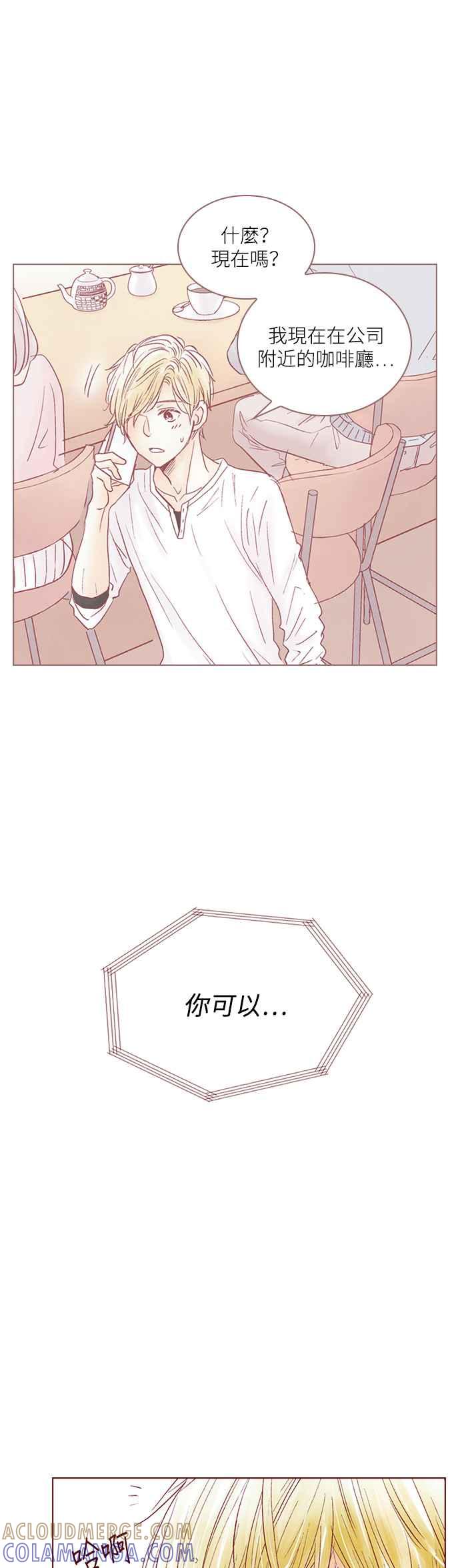 《迟来的初恋》第51话 第15页