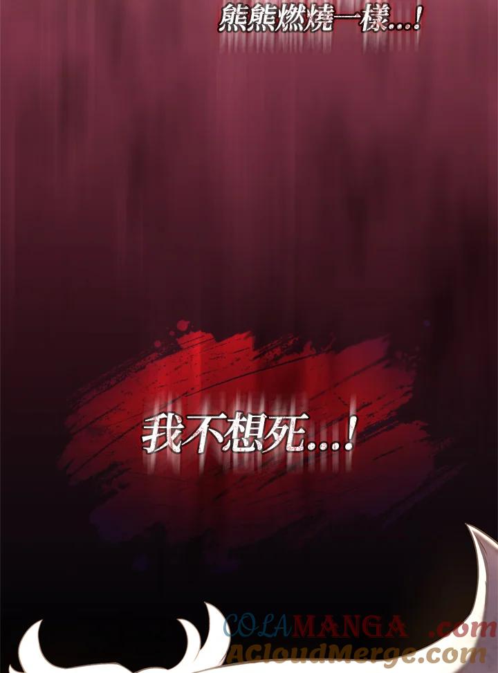 《铁血剑家猎犬的回归》第52话 第133页