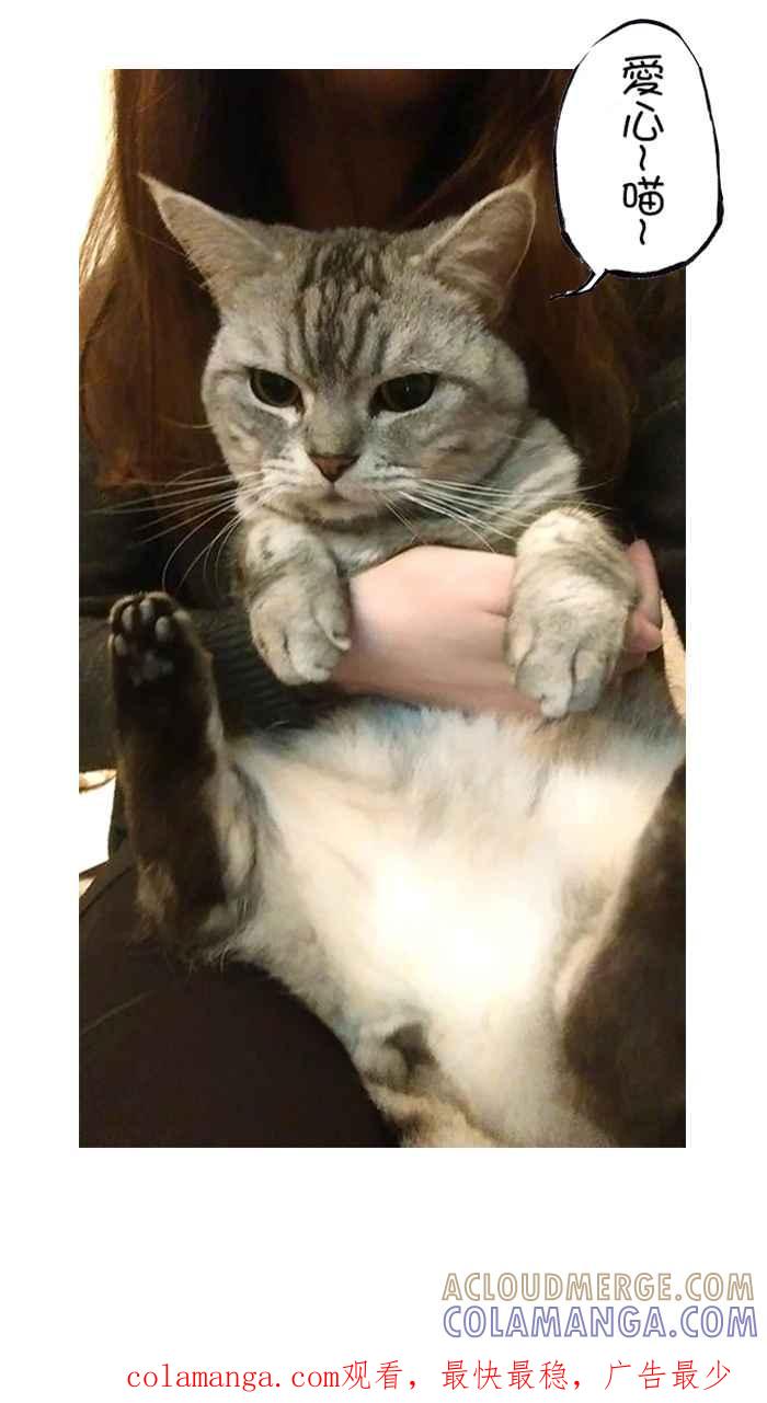 猫剑客 [第107话] 折翼天使 伍拾，告白 第35页
