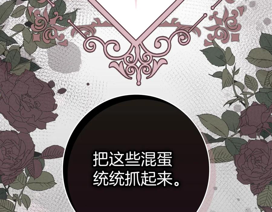 不幸的骑士，请和姐姐恋爱吧 - 第1话 最不幸的男人 - 第226张图