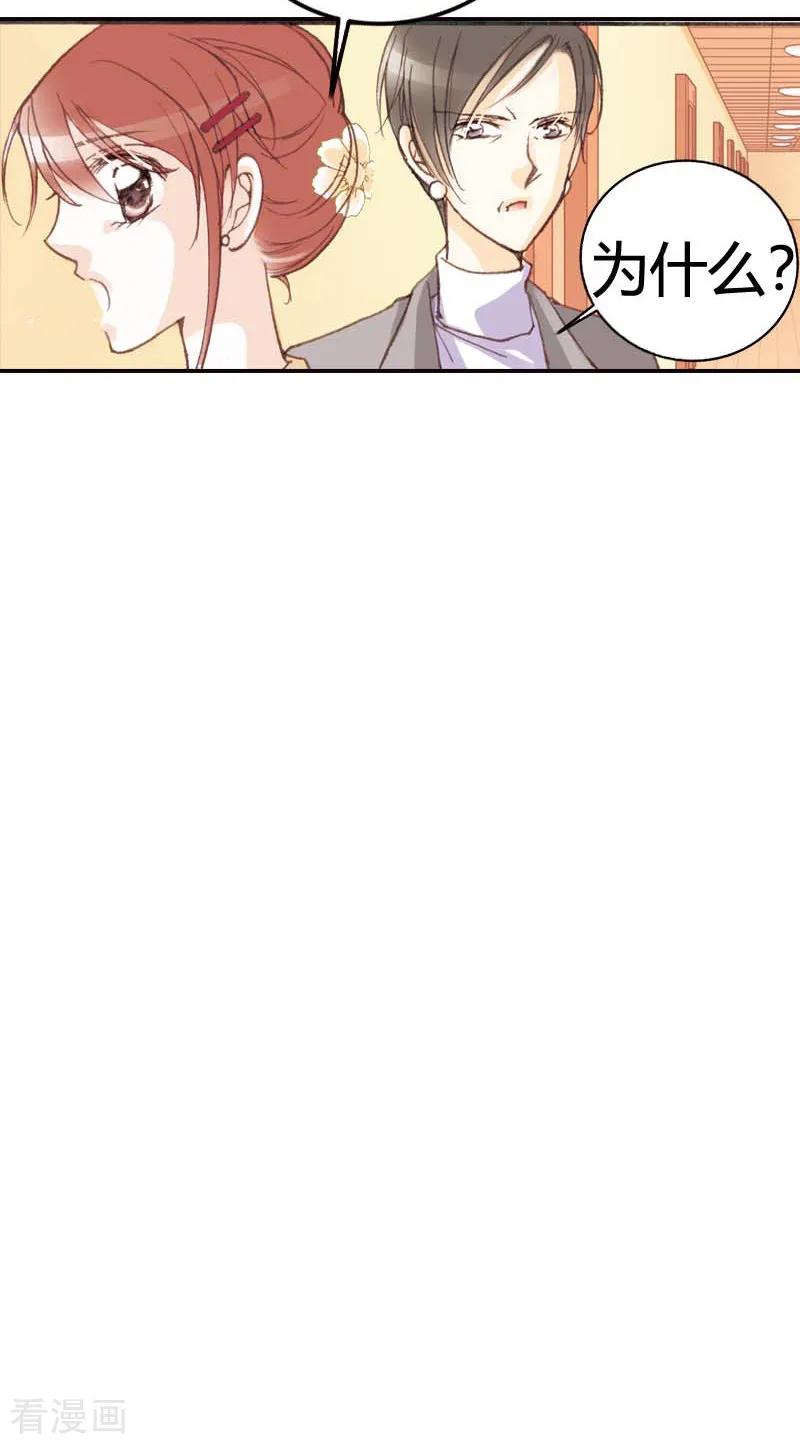 《灰姑娘进化论》第41话 第10页