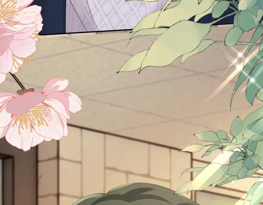 《穿成马甲大佬的妹妹》第48话 切磋 第106页