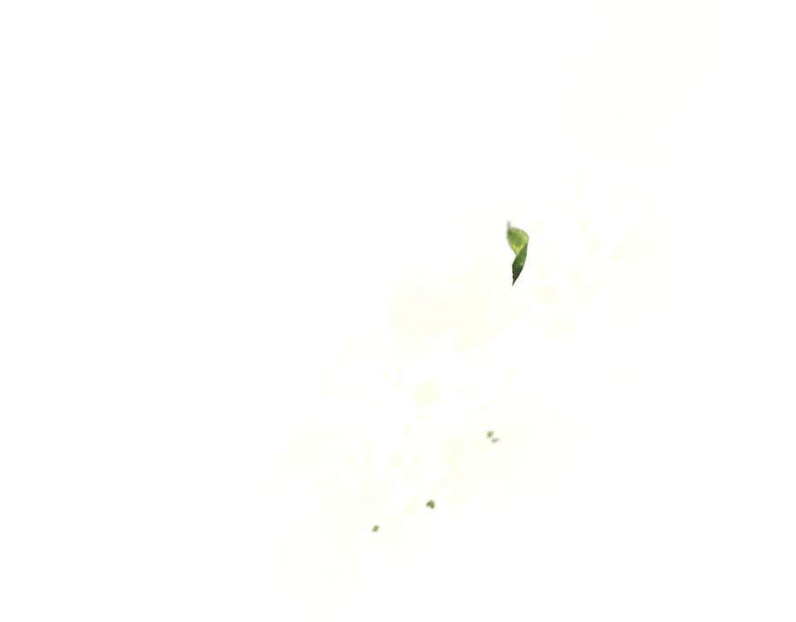 混球的姐姐 完结话 大团圆结局 第110页
