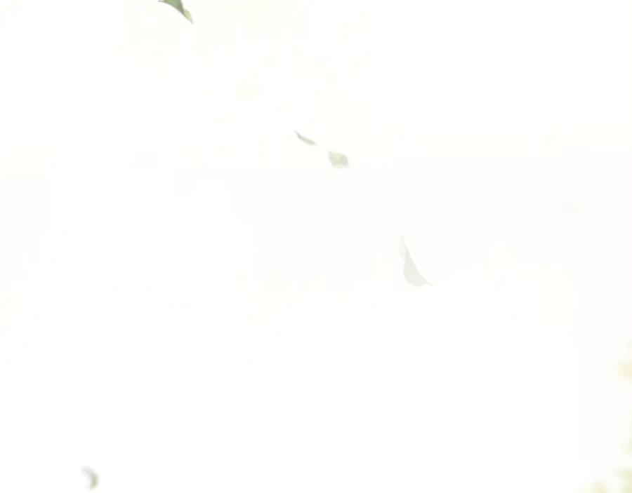 混球的姐姐 完结话 大团圆结局 第112页