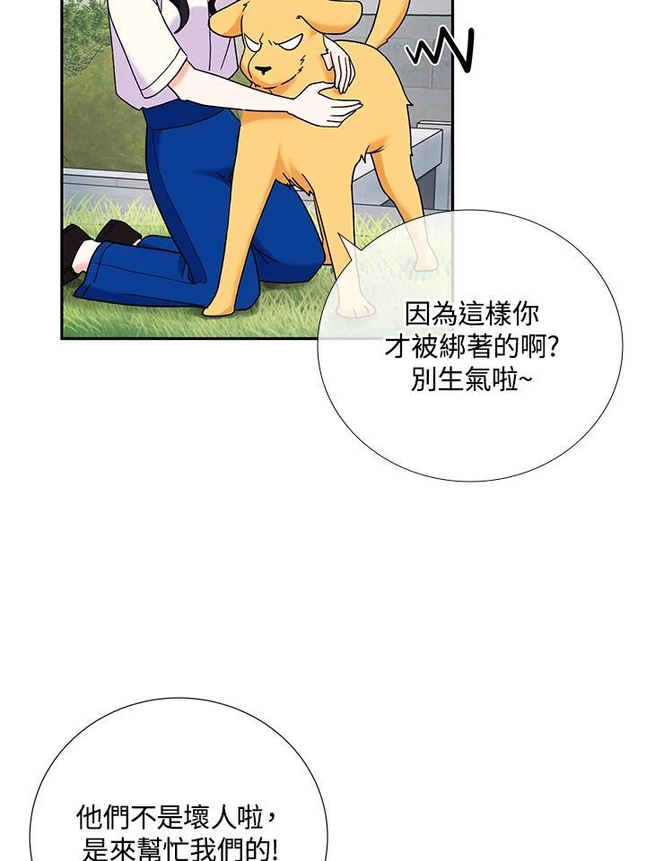 《替身未婚夫》第46话 第20页