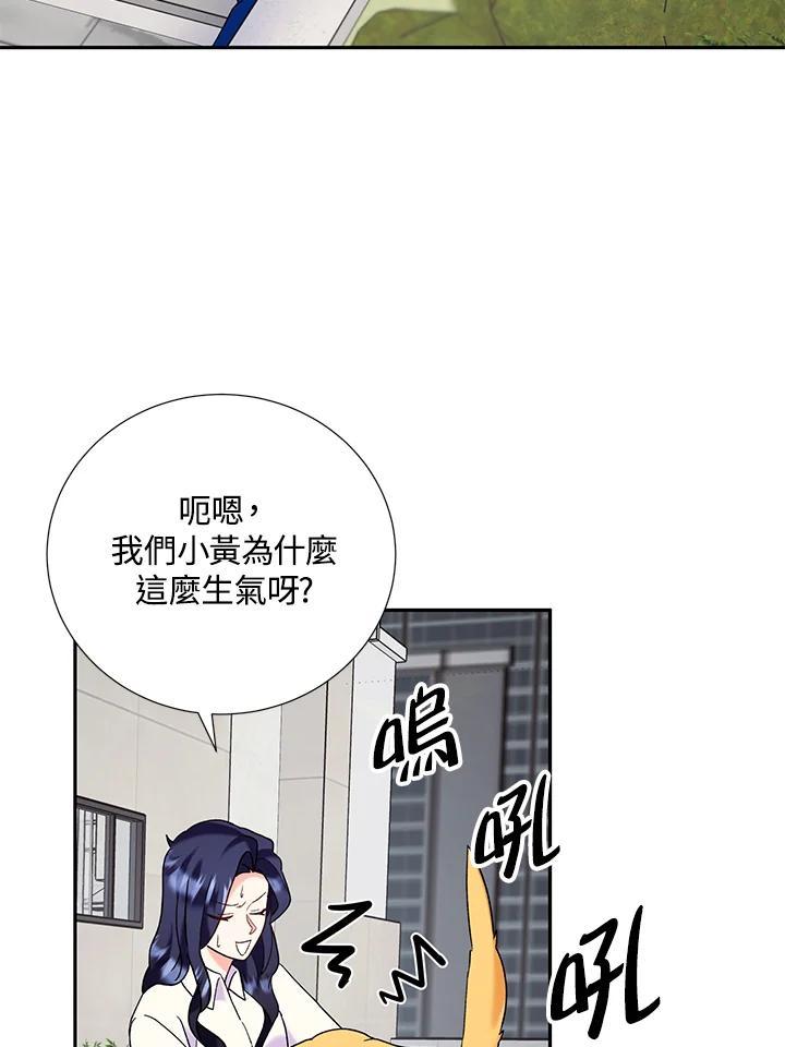 《替身未婚夫》第46话 第19页