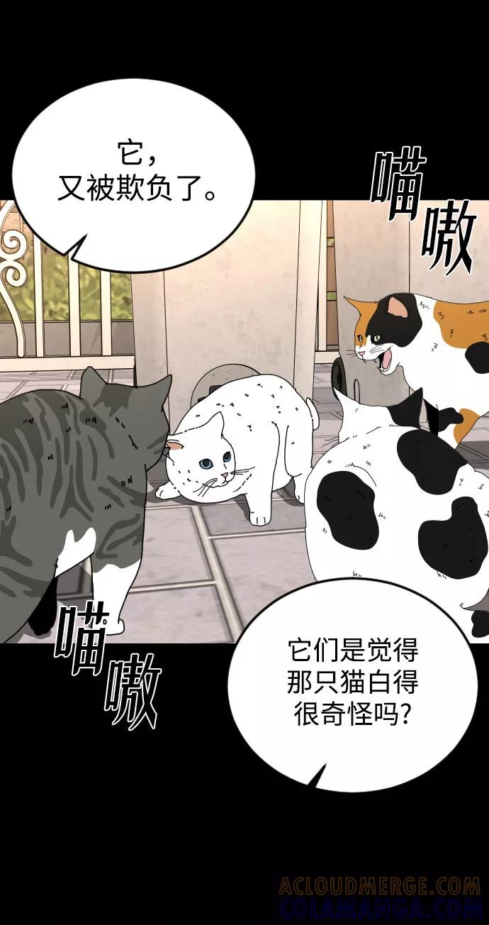 《普通孩子》[第31话] 妈妈的遗言 第4页