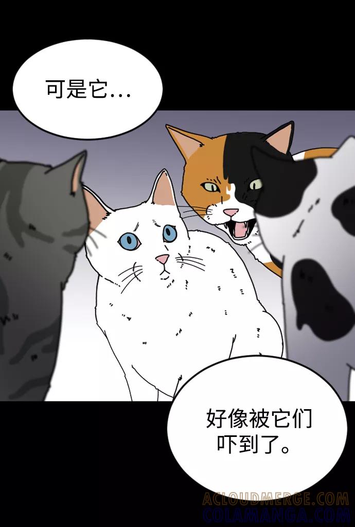 《普通孩子》[第31话] 妈妈的遗言 第7页