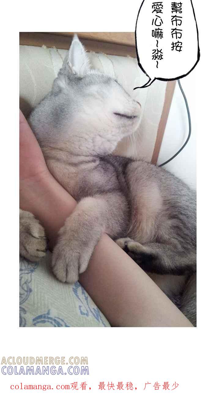 猫剑客 [第91话] 折翼天使 参拾肆，觉悟一发 第43页
