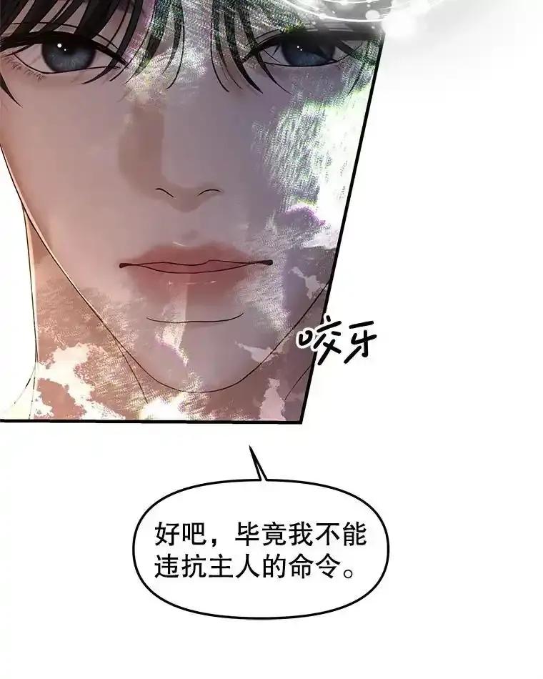 《替吸血鬼吃饭的我》202.绝对服从 第42页