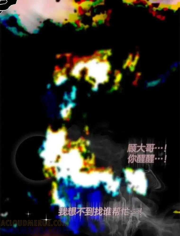 《替吸血鬼吃饭的我》203.这是一个错误 第91页