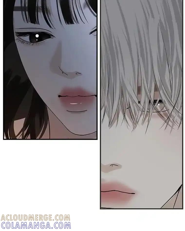 《替吸血鬼吃饭的我》204.三人修罗场 第17页