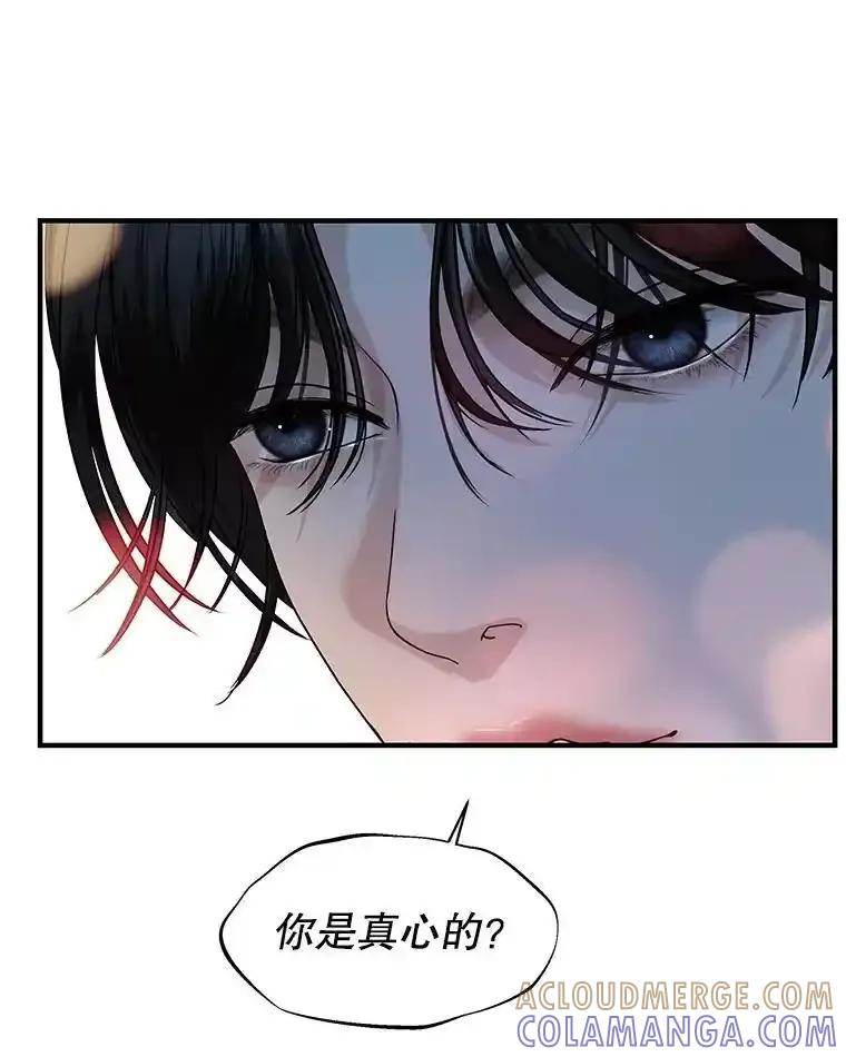 《替吸血鬼吃饭的我》205.我想成为吸血鬼 第16页