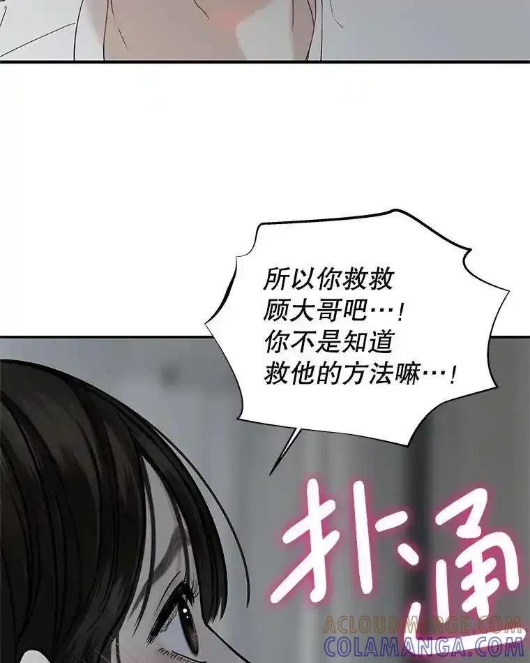 《替吸血鬼吃饭的我》205.我想成为吸血鬼 第13页