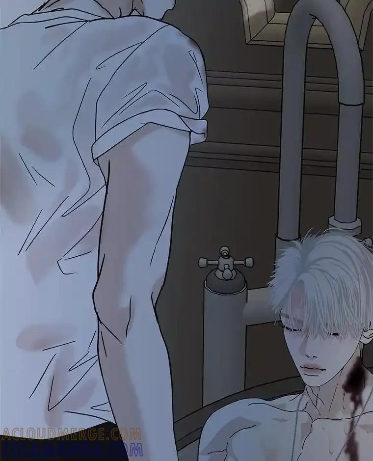 《替吸血鬼吃饭的我》207.白知言的吸血回忆 第13页