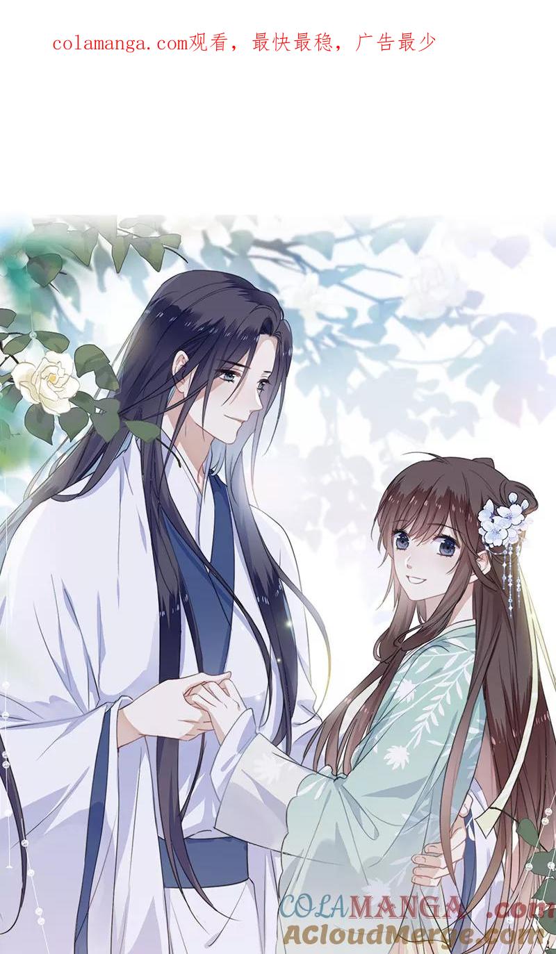 《镜花殇》[第55话] 偷梁换柱 第1页