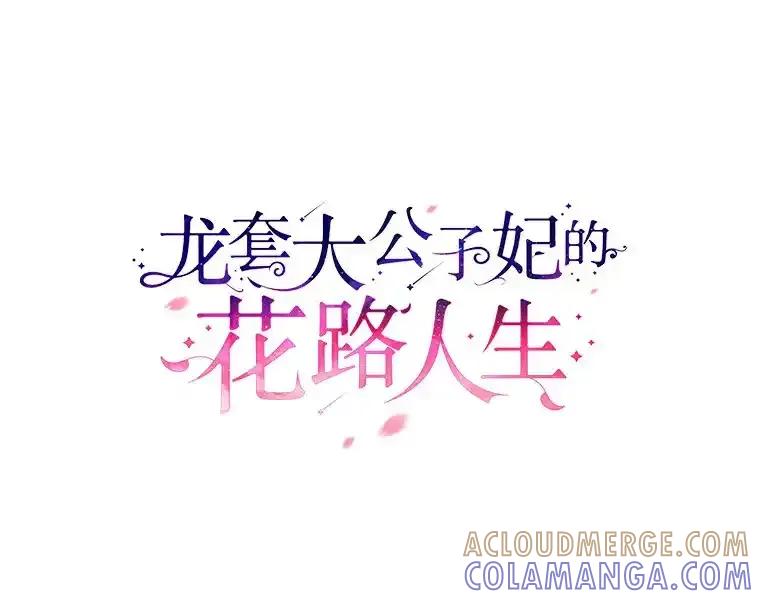 《龙套大公子妃的花路人生》54.找到心仪的作家 第33页