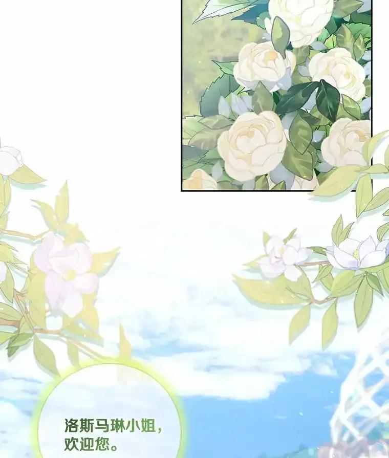 《龙套大公子妃的花路人生》55.参加茶话会 第35页